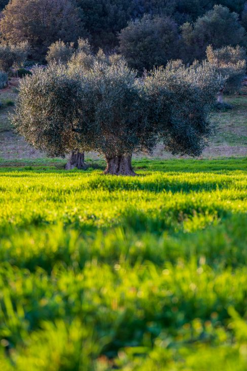 La Natura della Maremma